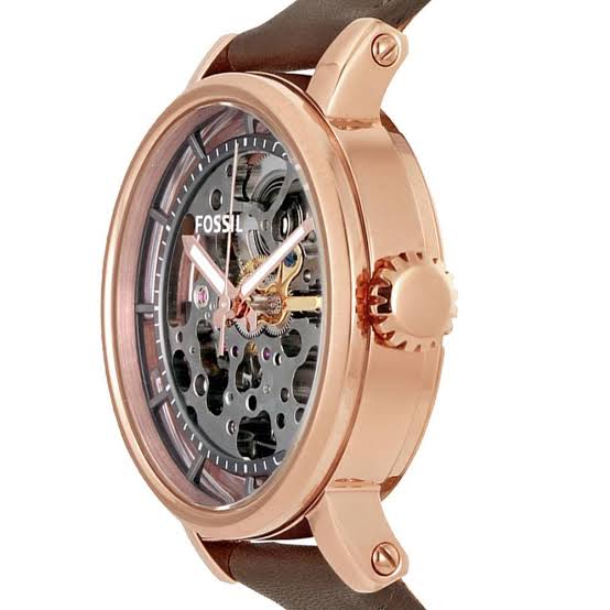 Fossil Watch