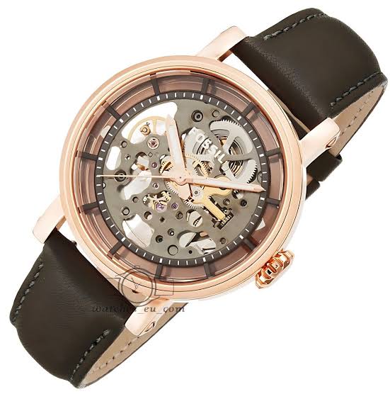 Fossil Watch